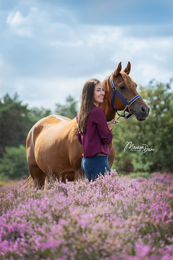 Paarden fotografie Leanne Abigail