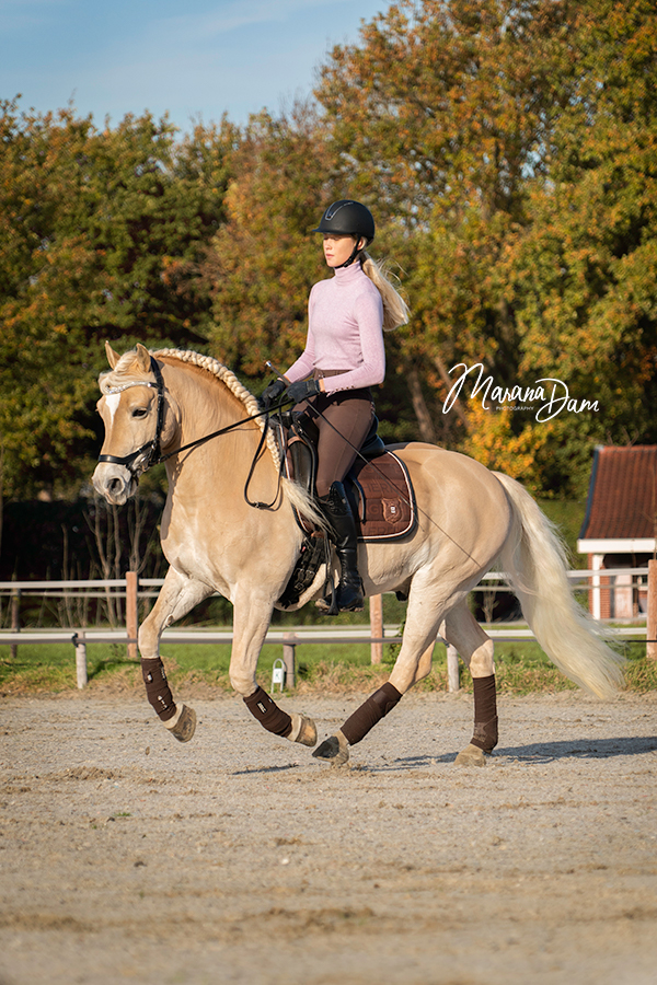 Rijden fotografie galop haflinger