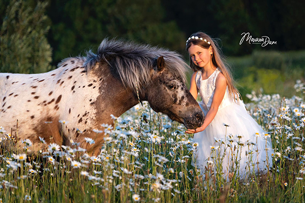 Fotografie appaloosa bloemen pony