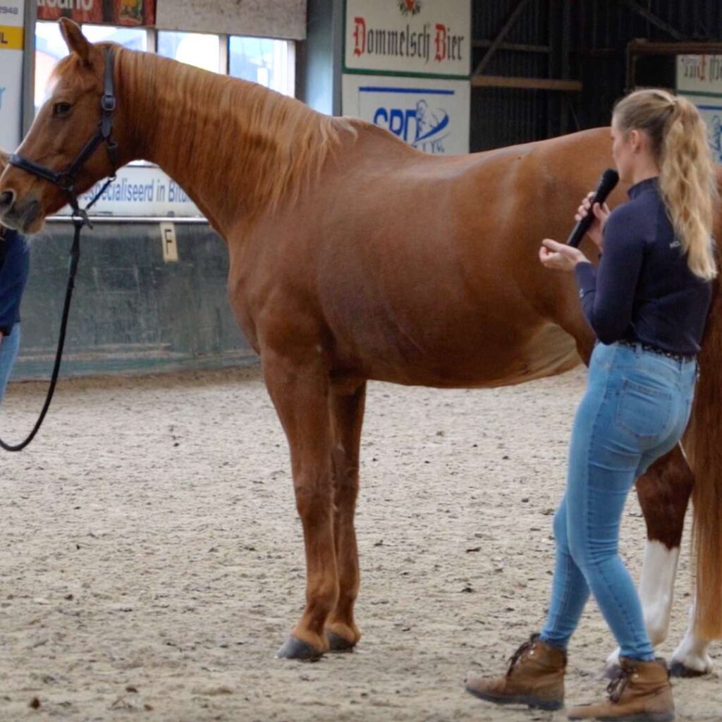 instructeur cursus kiara