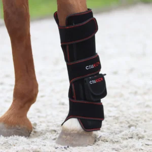 rood lichttherapie paard beenpad