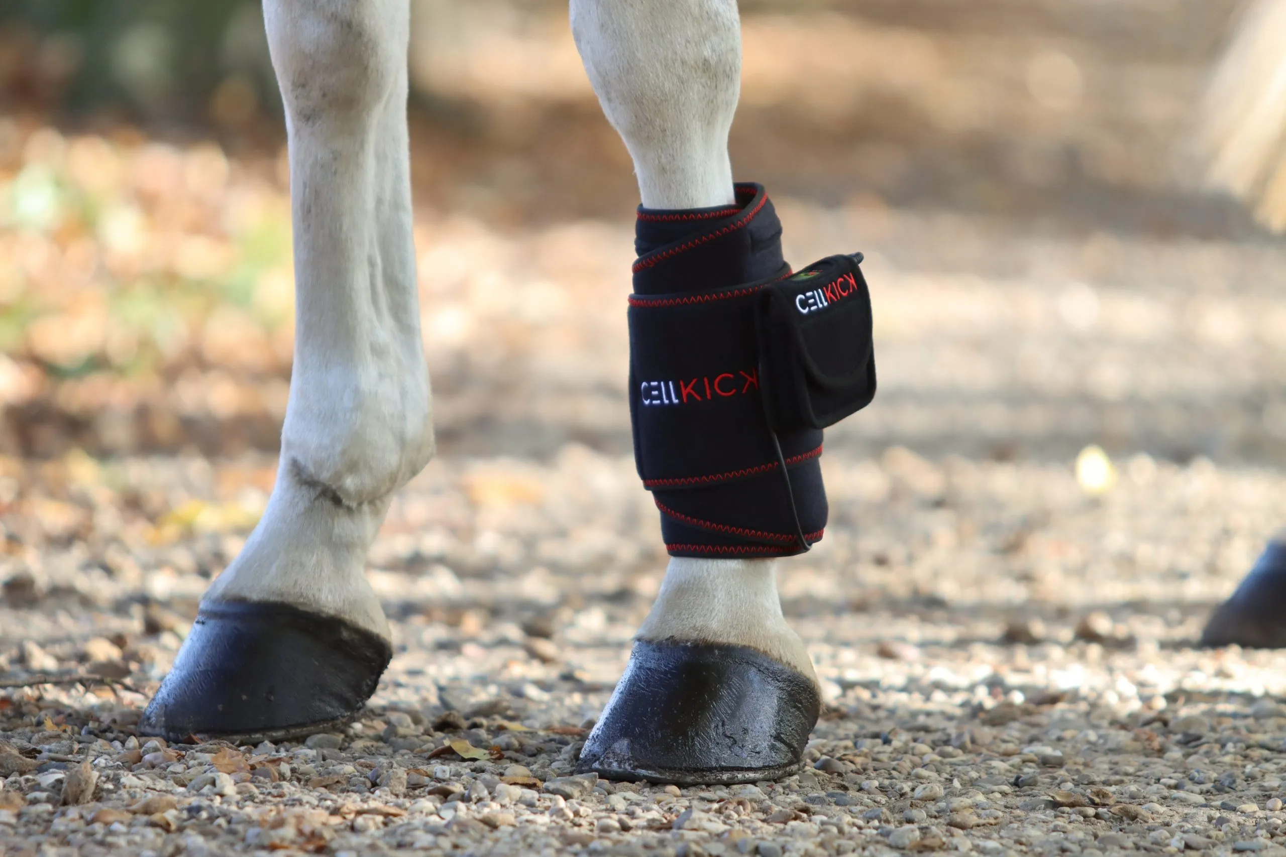 Cellkick beenpad pro