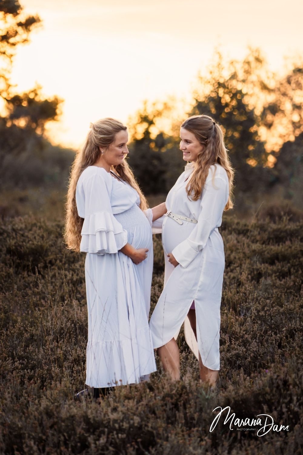 zwangerschaps fotografie Hoeksche waard